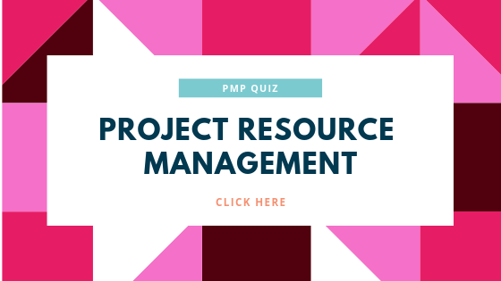PMP Project Cost Management Malaysia
